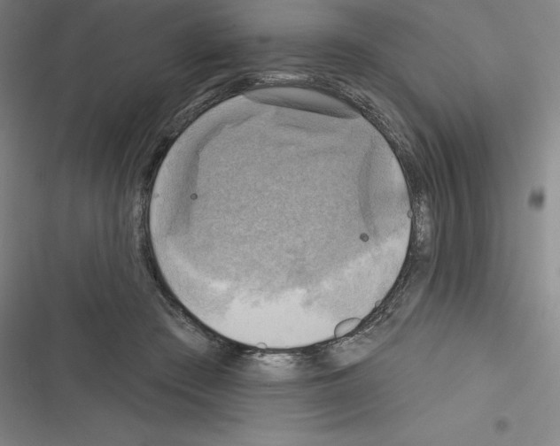 X0000116300409201001111121