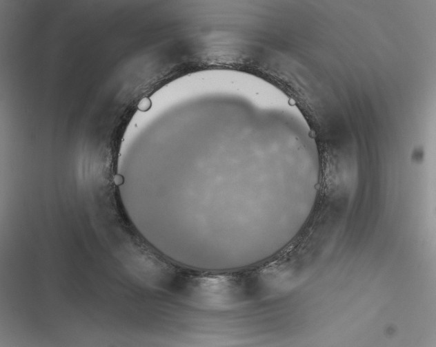 X0000116300411201001111121