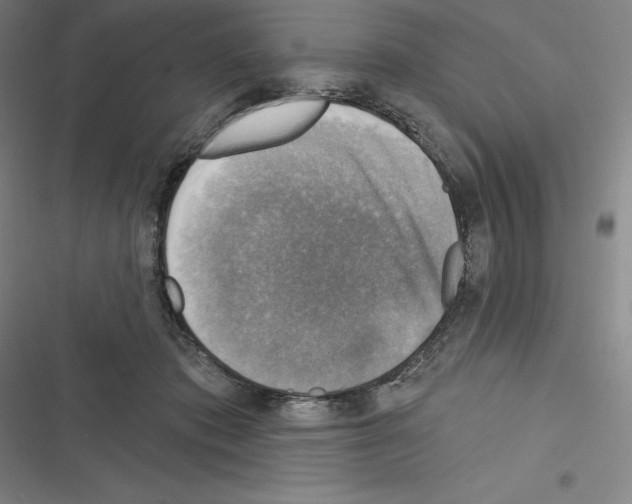 X0000116300413201001111121