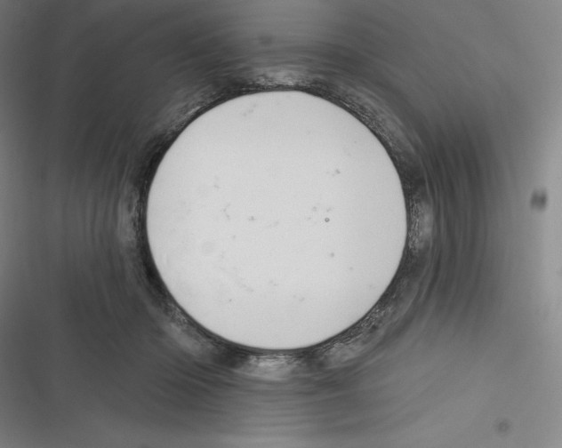 X0000116300414201001111121