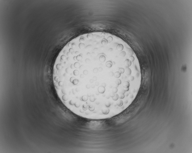 X0000116300418201001111121