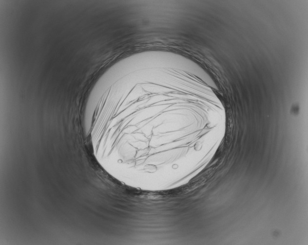 X0000116300419201001111121