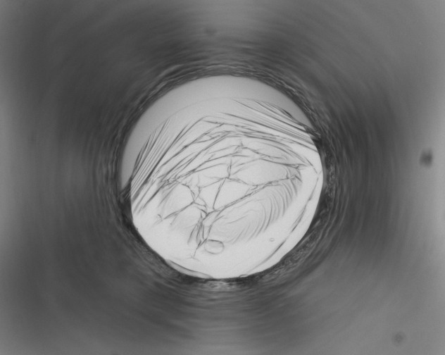 X0000116300421201001111121