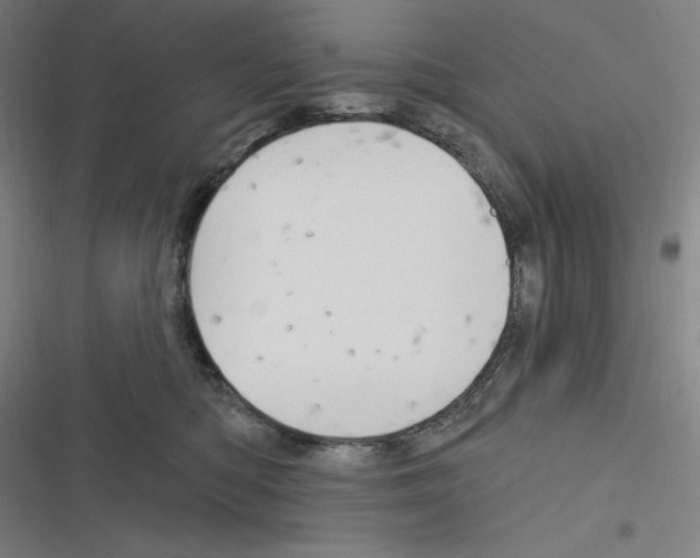 X0000116300422201001111121