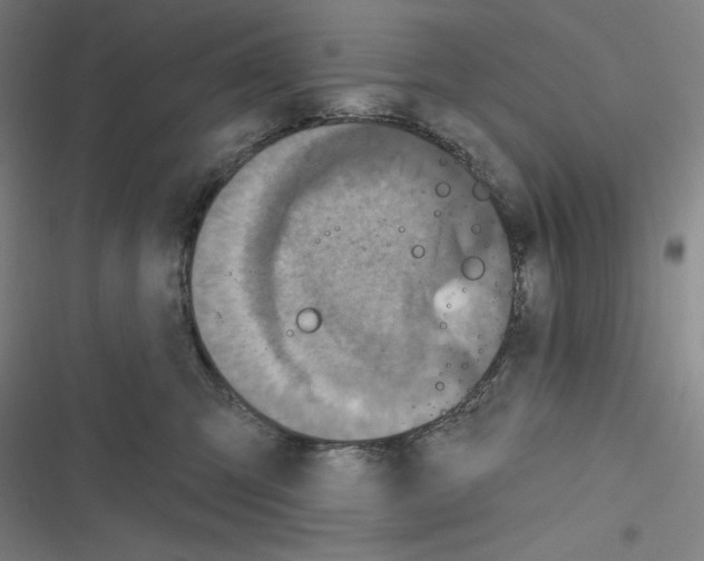 X0000116300423201001111121