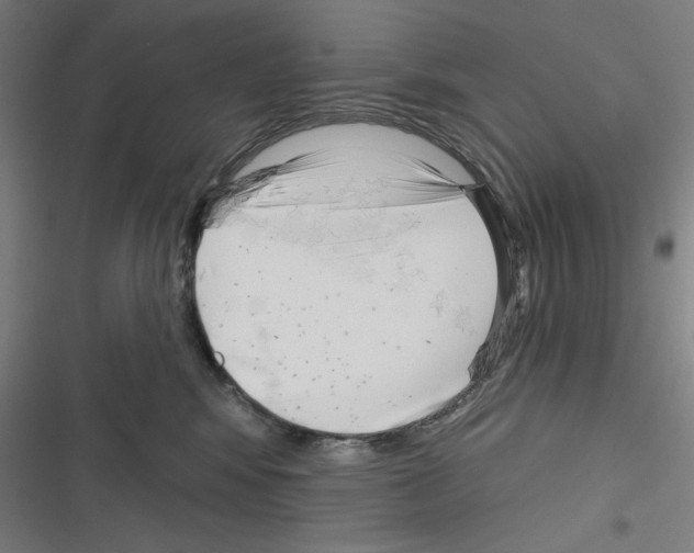 X0000116300424201001111121