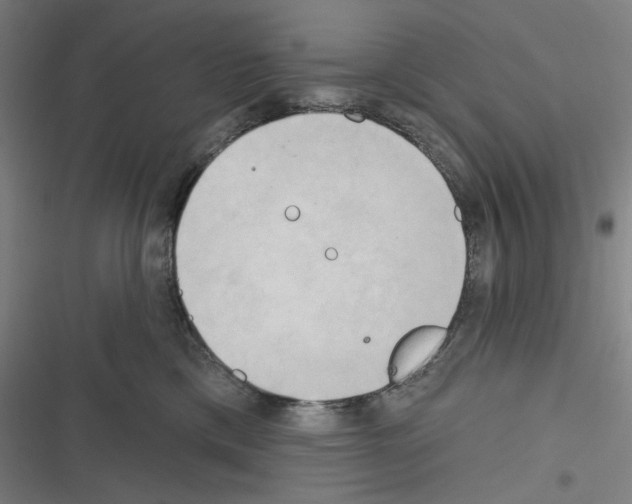 X0000116300425201001111121