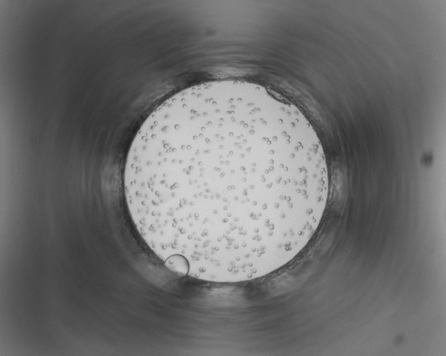 X0000116300426201001111121