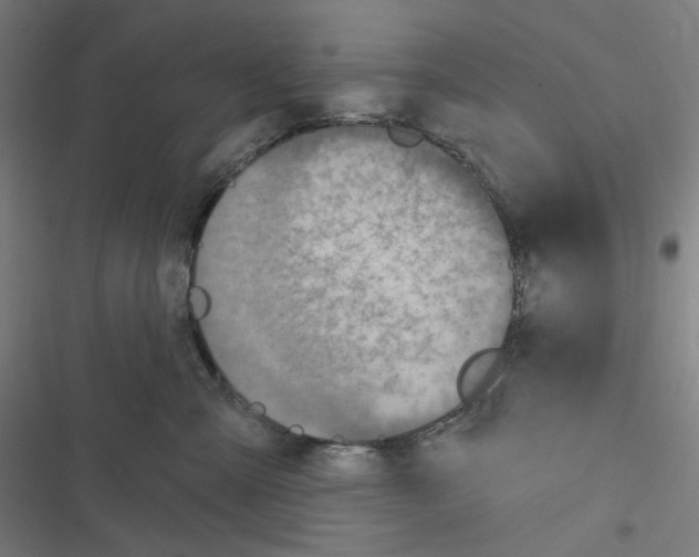 X0000116300427201001111121