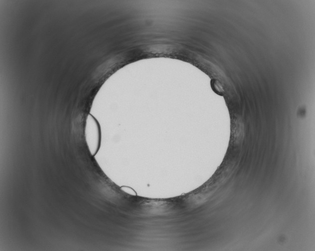 X0000116300428201001111121