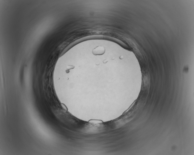 X0000116300429201001111121