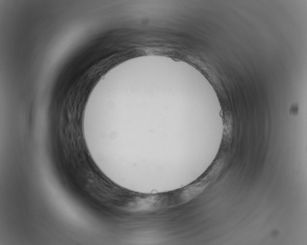 X0000116300430201001111121