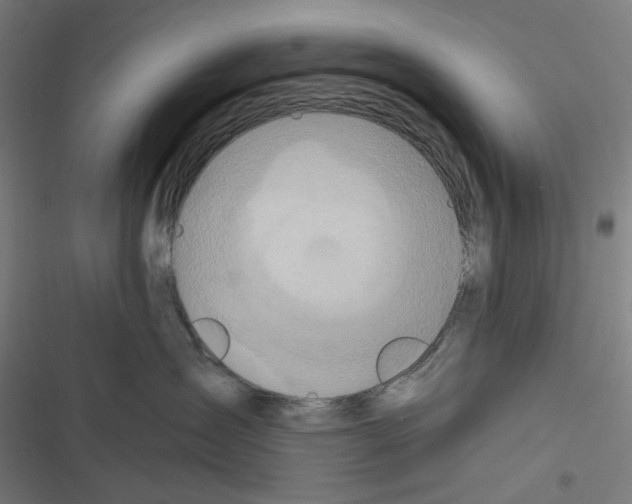 X0000116300431201001111121