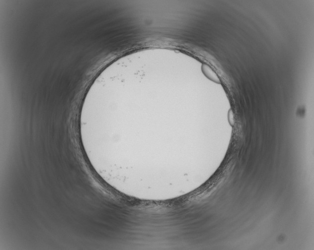 X0000116300433201001111120