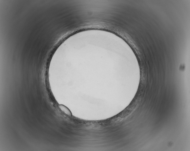 X0000116300434201001111120