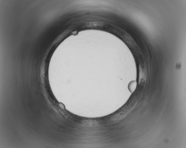 X0000116300435201001111121