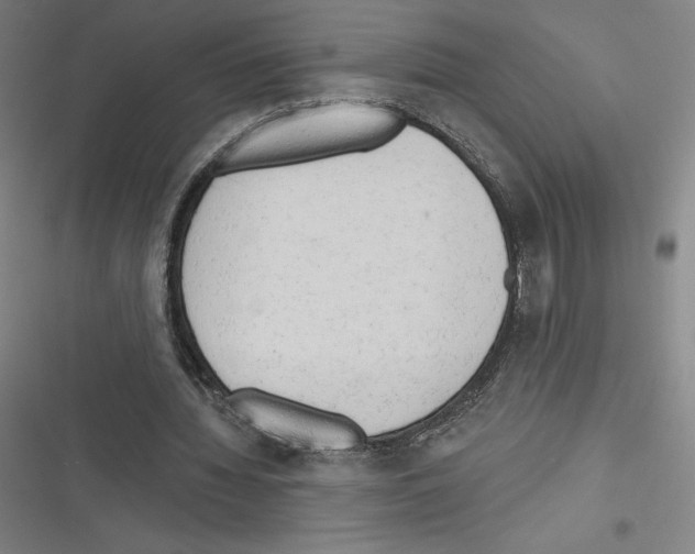 X0000116300436201001111121