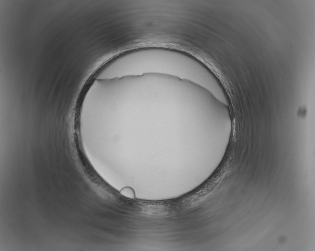 X0000116300438201001111121