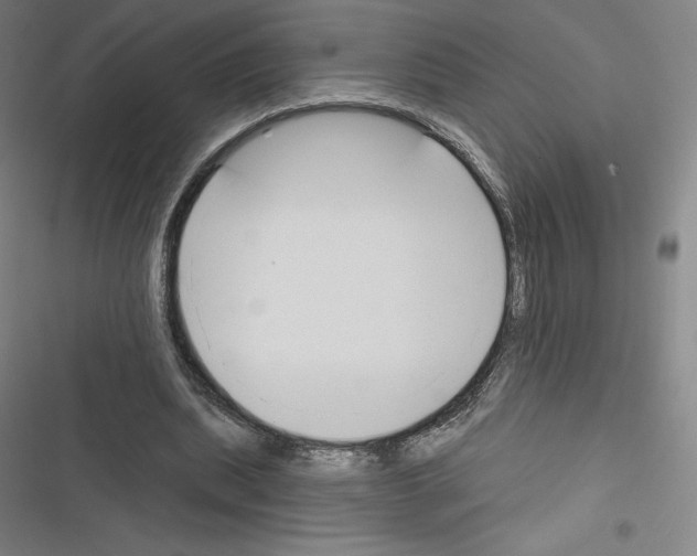 X0000116300439201001111121