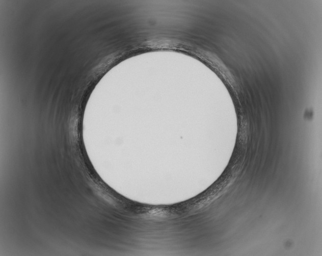 X0000116300441201001111121