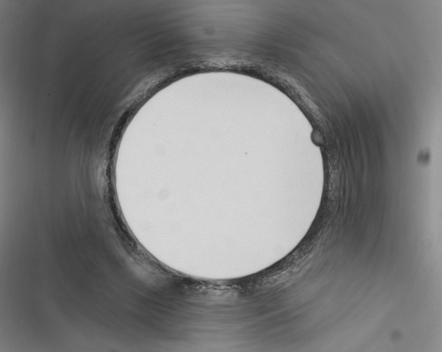 X0000116300443201001111121