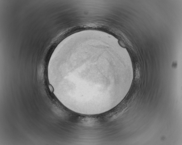 X0000116300444201001111121