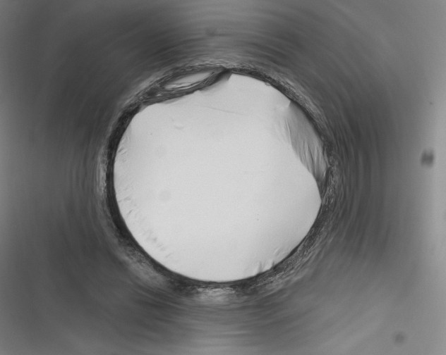 X0000116300446201001111121