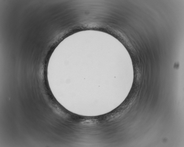 X0000116300447201001111121