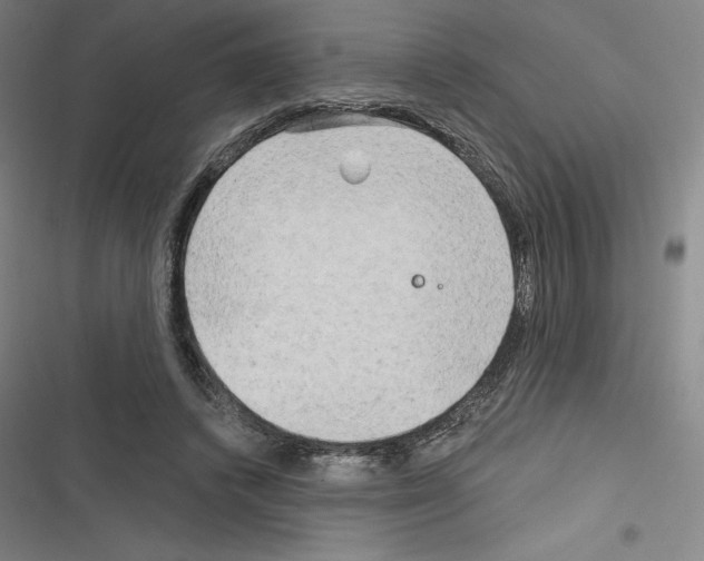 X0000116300448201001111121