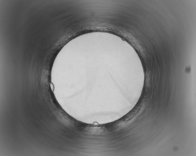 X0000116300449201001111121