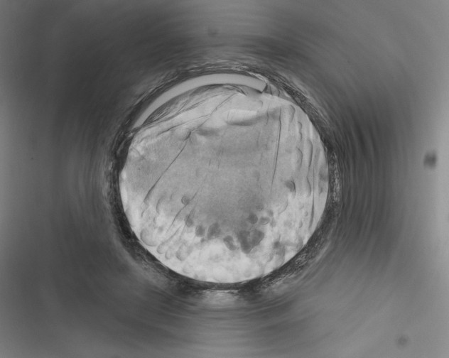 X0000116300451201001111121