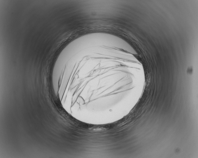 X0000116300452201001111121