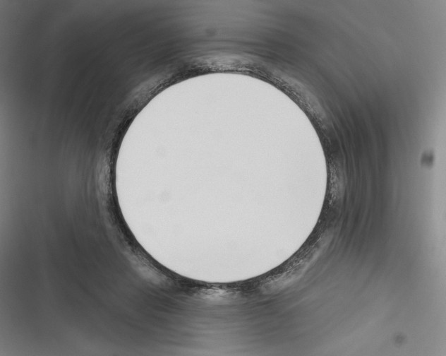 X0000116300453201001111121