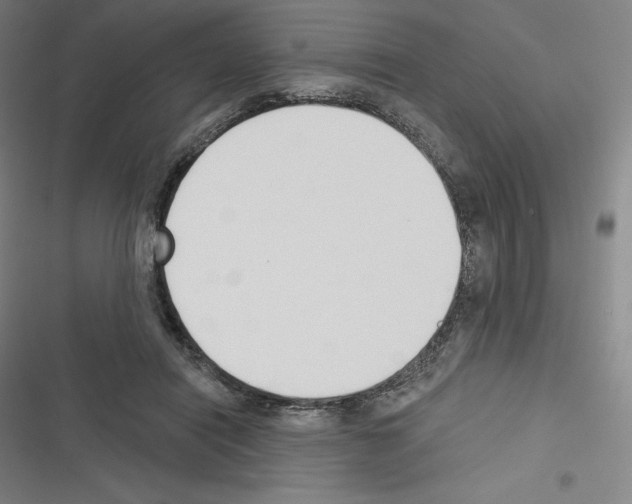 X0000116300454201001111121