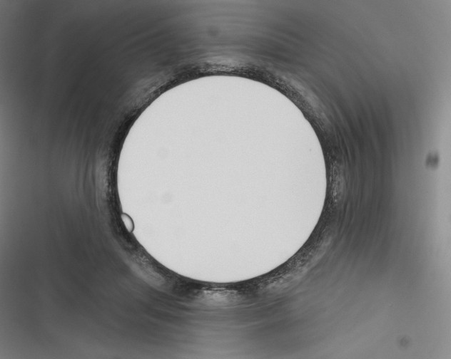 X0000116300455201001111121