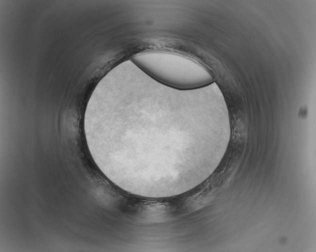 X0000116300456201001111121