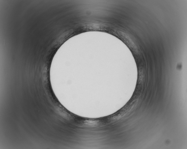 X0000116300457201001111121