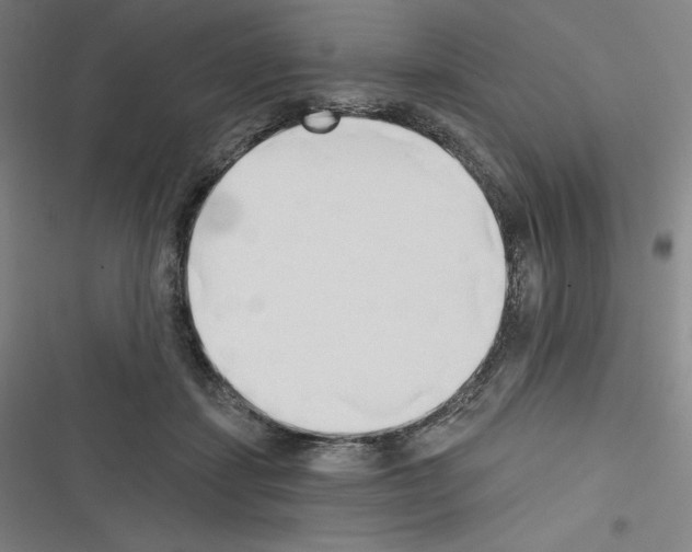 X0000116300459201001111121