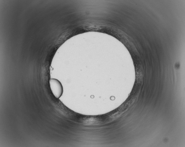 X0000116300460201001111121