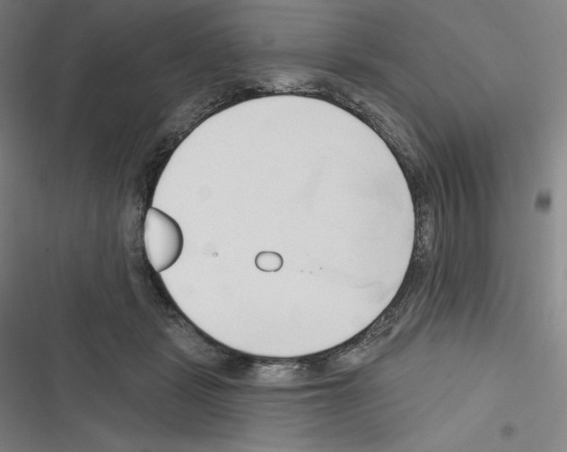 X0000116300461201001111121