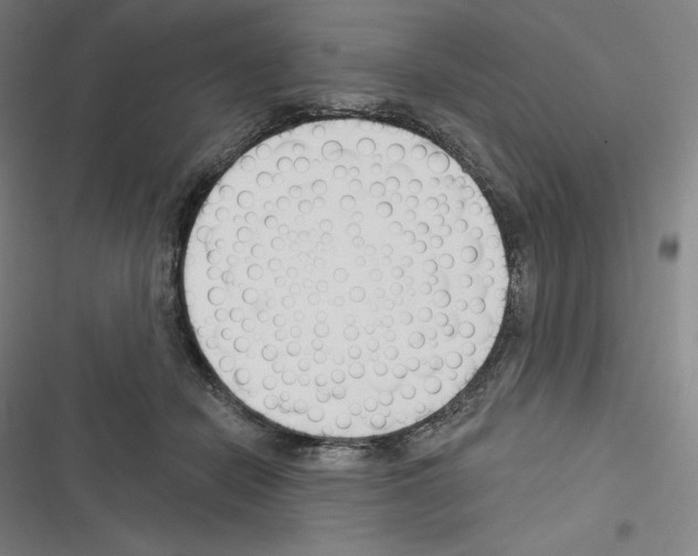 X0000116300462201001111121