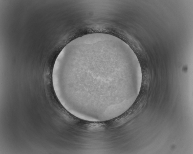 X0000116300465201001111121