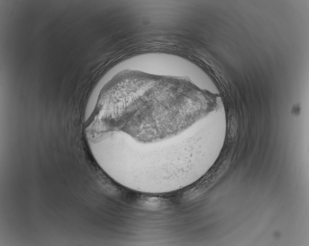 X0000116300467201001111121