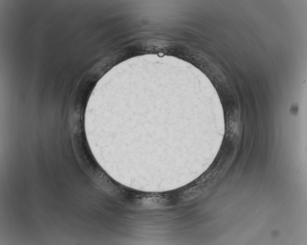 X0000116300468201001111121