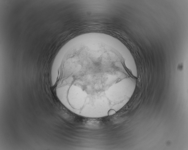 X0000116300471201001111121