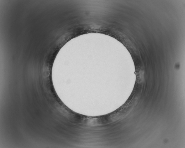 X0000116300472201001111121