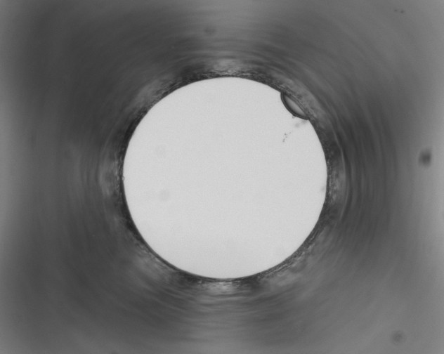 X0000116300473201001111121