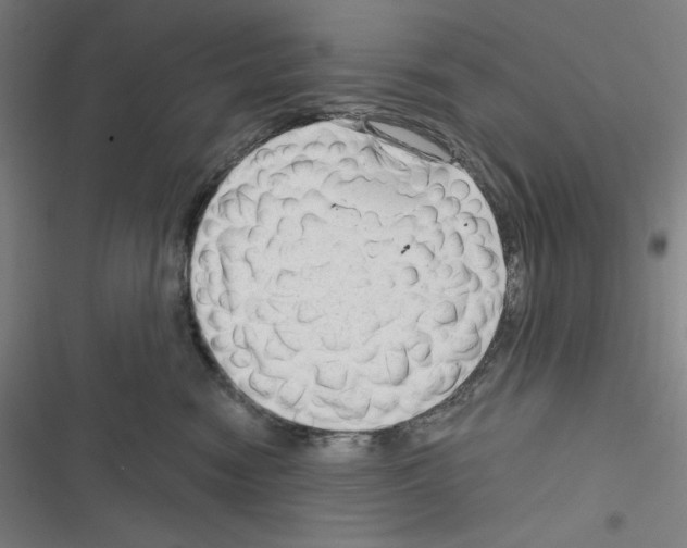 X0000116300474201001111121