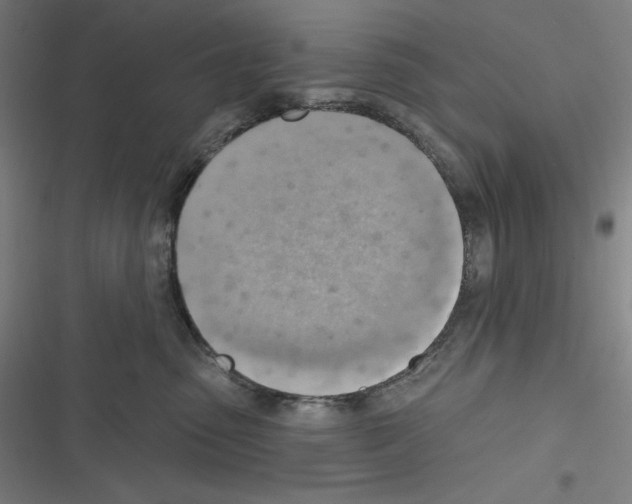 X0000116300475201001111121