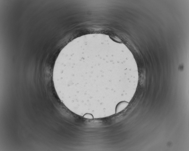 X0000116300476201001111121